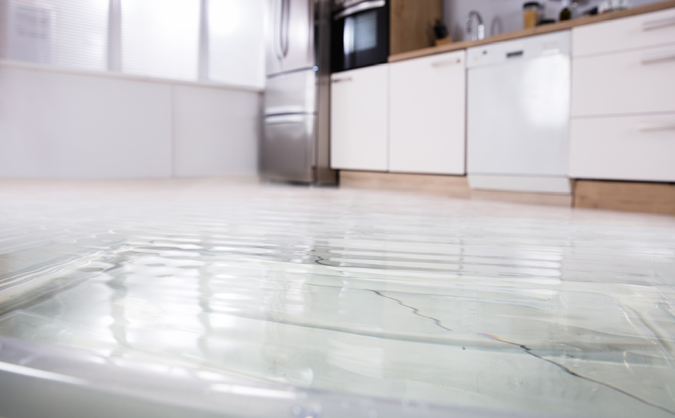 breathe home maintenance top tips for repairing water damage